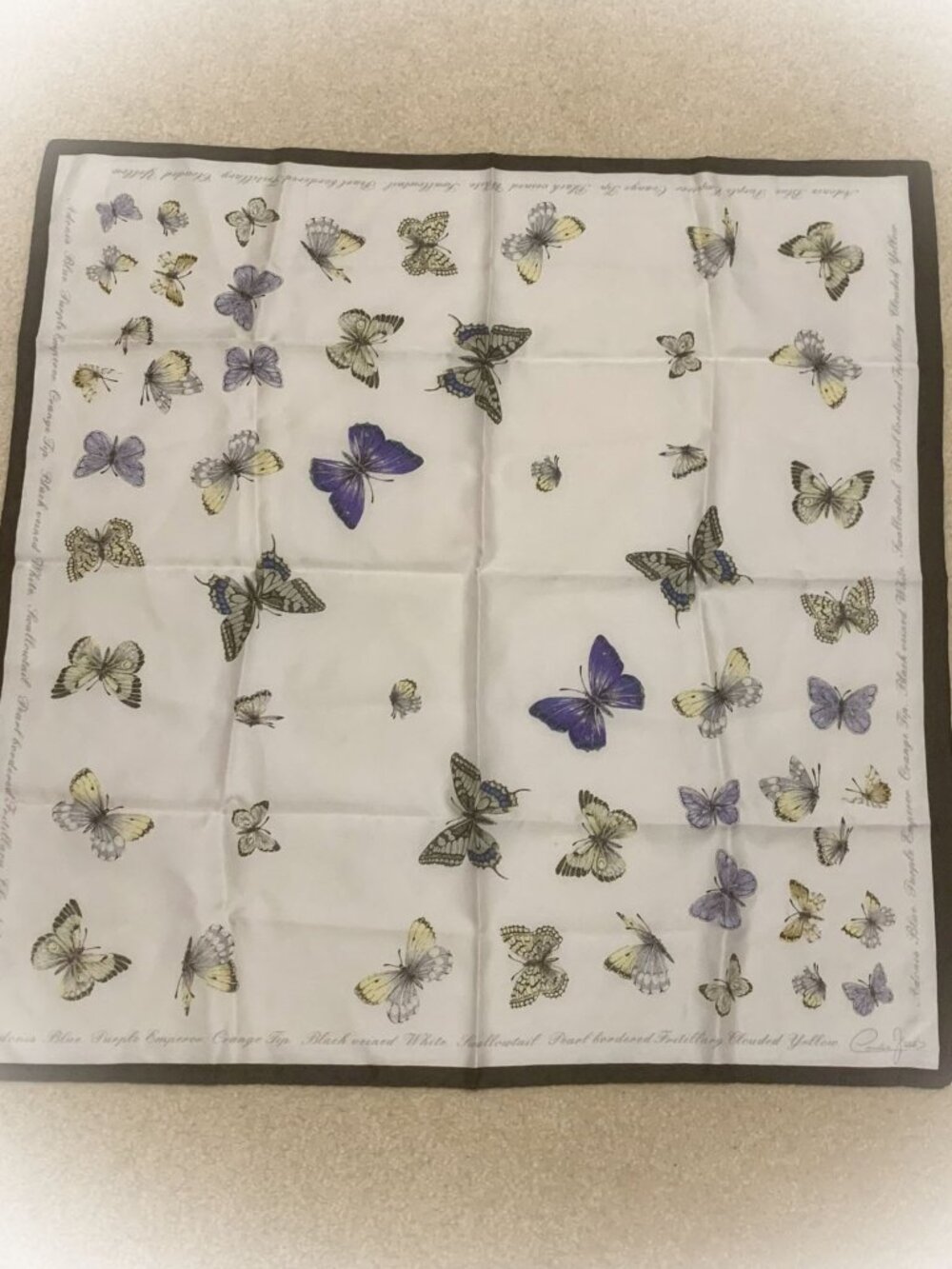Vintage Cornelia James "Butterflies of the British Isles" Square Scarf